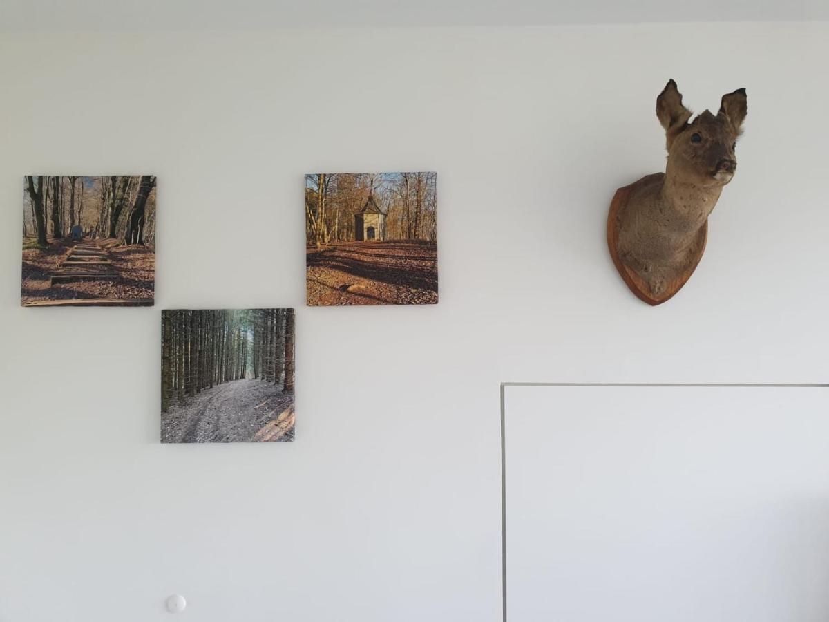 Terrasses De Malmedy - Duplex "Happiness" - Pellet & Airco- Apartment Bagian luar foto