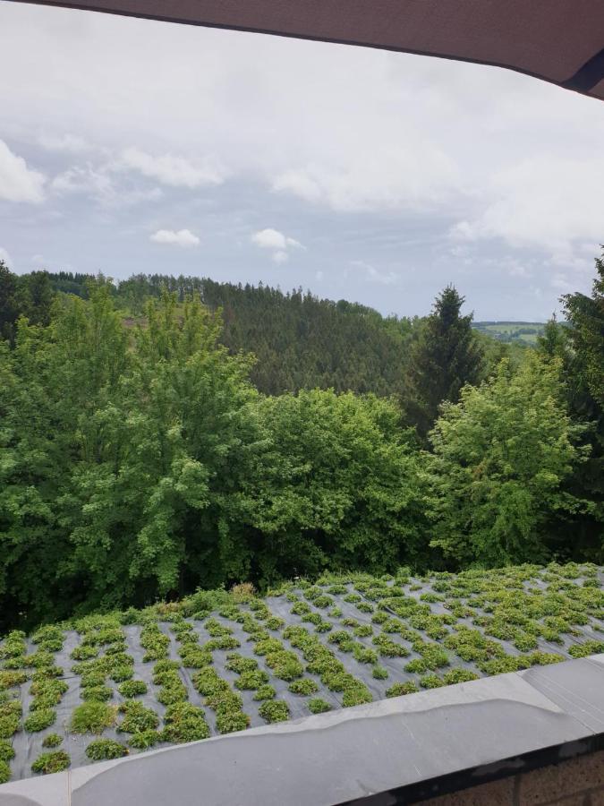 Terrasses De Malmedy - Duplex "Happiness" - Pellet & Airco- Apartment Bagian luar foto
