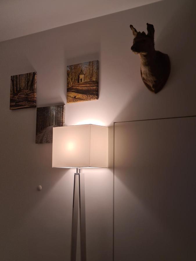 Terrasses De Malmedy - Duplex "Happiness" - Pellet & Airco- Apartment Bagian luar foto